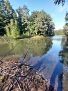 Angeln am Grundstueck Angelurlaub Silbersee wildes Ufer aber Natur pure