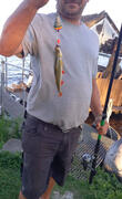im Silbersee sind die Fische dicker als in der Havel ;) im Silbersee sind die Fische dicker als in der Havel ;)