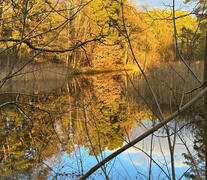 Seeblick Seeblick