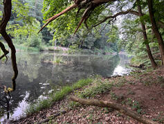 am Ufer am Ufer
