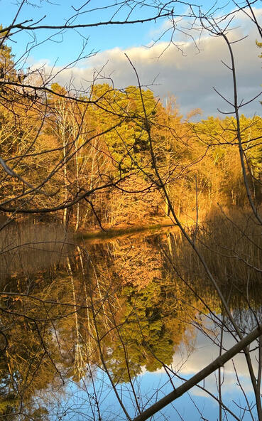 Biberspur im Herbst Die Vielfalt der Jahreszeiten am Silbersee auf Biberspur