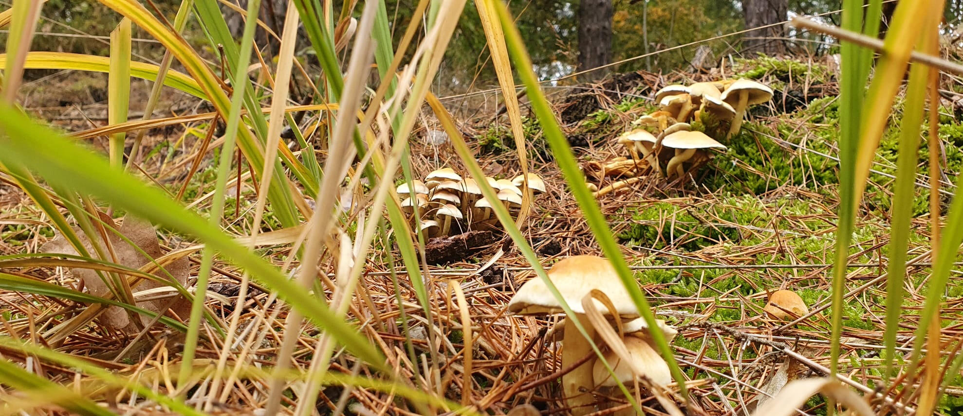 Wildnis in Coswig Anhalt Biosphaerenreservat
